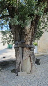 Freixo de Espada à Cinta